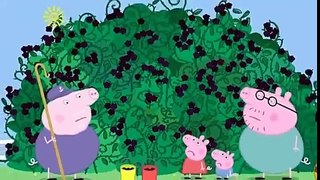 Peppa Pig English Episodes Compilation # 448_9