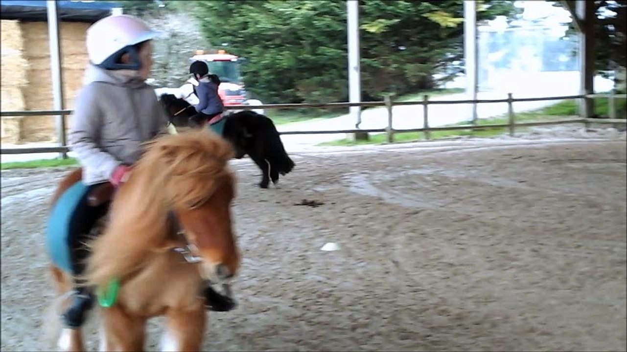 final equitation