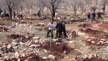 500 Fidan Toprakla Buluşturuldu