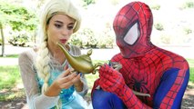 Frozen Elsa Turns into SUPERHEROES! w/ Spiderman Joker Maleficent Bad Baby Poison Ivy & Hu