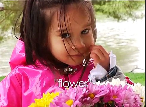 Baby Sign Language | Baby Sign Language Basics | Sign Language for Babies