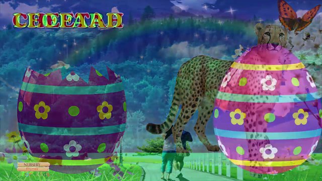 Surprise Eggs Wildlife Toys | Learn Wild Animals & Animal Sounds | ChuChu TV Surprise For