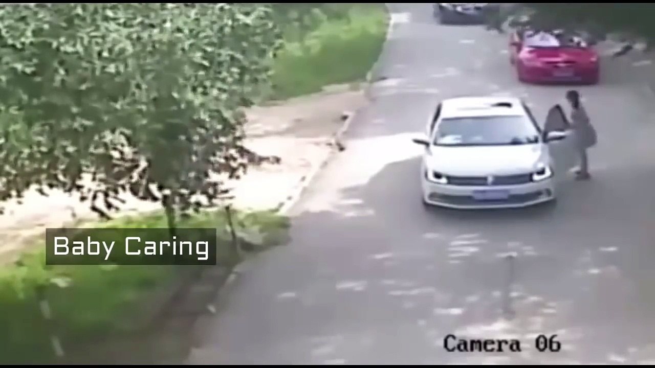 1 dead, 1 injured as tigers maul 2 women at Chinese Wildlife Park