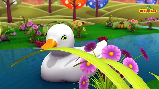 Baby Bao panda | five little ducks went swimming one day | baby songs | 3d rhymes