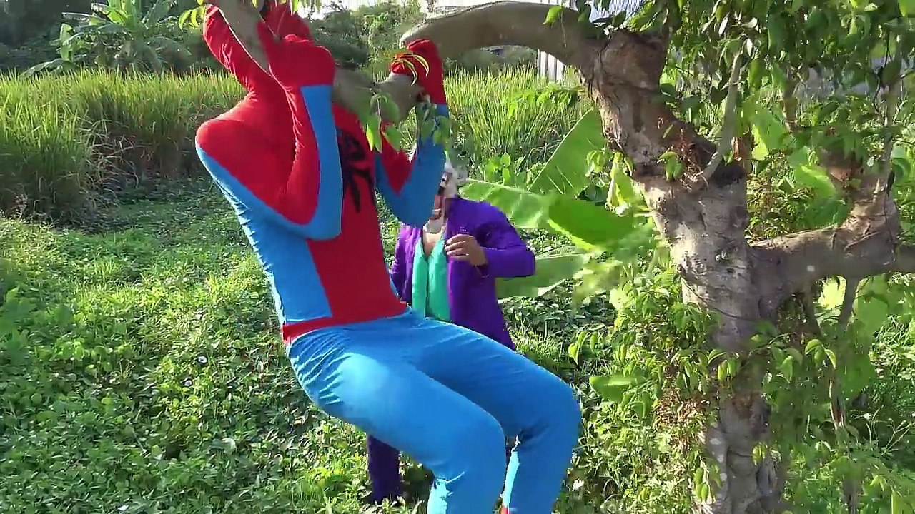 Joker kidnap Spiderman vs Elsa Black Spiderman rescue Funny videos Spidey Super Hero