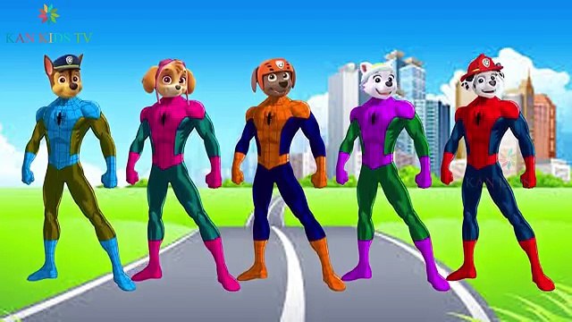 Азбука и Семья палец Дети лирический Подробнее питомник патруль лапа рифмы песни человек-паук