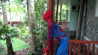 SPIDER IN MOUTH! Spider Attack Frozen Elsa Spiderman Joker CRYING BABIES Superheroes in Re
