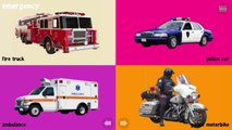 Street Vehicles Names and Sounds 1 HOUR Cars and Trucks Collection for Kids Toddlers to Le