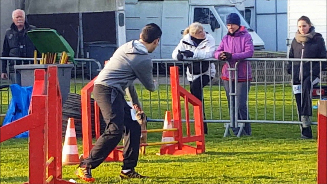 Concours Agility - La Madeleine 2017