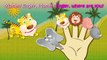 Wild Animals Finger Family Songs | Animals Finger Family Nursery Rhymes By Animals Rhymes