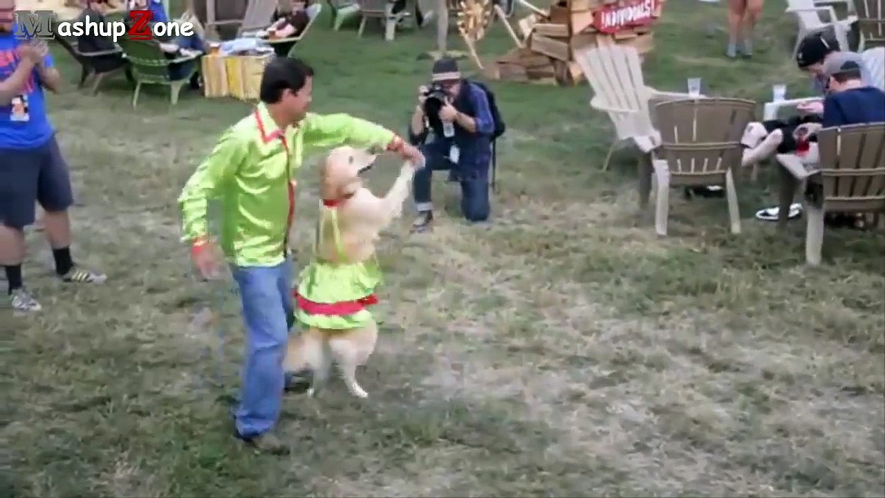 Funny Animals Behaving Like Humans Videos Compilation 2017