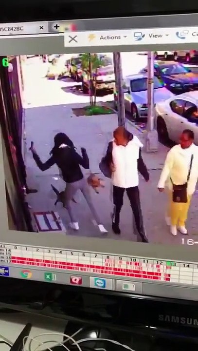 Comment ne pas protéger son chien d'une attaque de chat