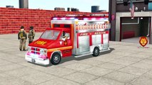 Learn Street Vehicles Transport Fire Trucks Cars Names | Colors Animals Finger Family Nurs
