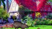 Animales de dibujos animados Dedo de la Familia de los Niños canciones infantiles | Animación 3D Rimas de cuarto de niños