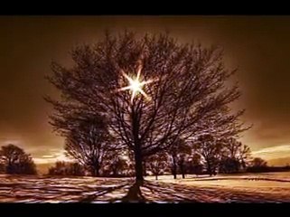 Islak Ekin Kokulu Kız - Aforizmalar 9