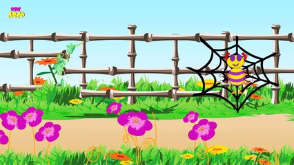 Incy Wincy Spider Nursery Rhyme With Lyrics - Cartoon Animation Rhymes & Songs for Childre