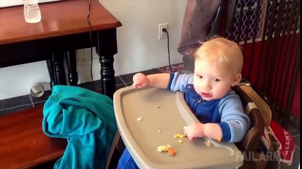 Cats Being Jerks Video Compilation || FailArmy