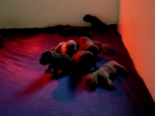 Les bbs nala 250907 003