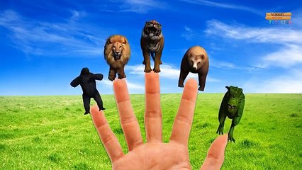 Животные цвета динозавры слон Семья бой палец горилла король конг лев рифмы против |