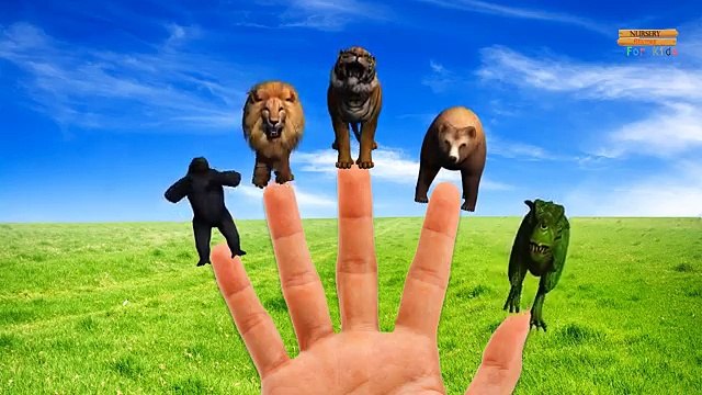 Животные цвета динозавры слон Семья бой палец горилла король конг лев рифмы против |