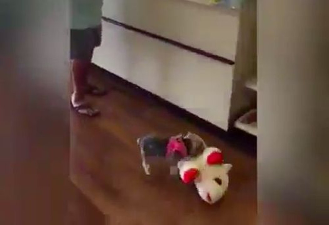 Une peluche plus grosse que lui !