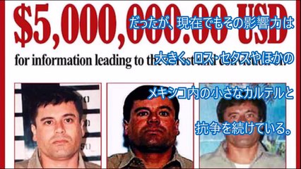 Popular Videos - 関東連合 & Gang