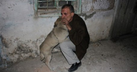 Evi Yanan Adam, Alevlerin Arasında Kalan Köpeğini Kurtarmayı Başardı