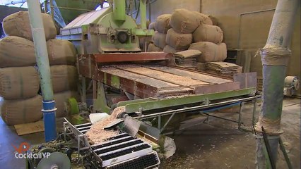 كيف تصنع أعواد الكبريت