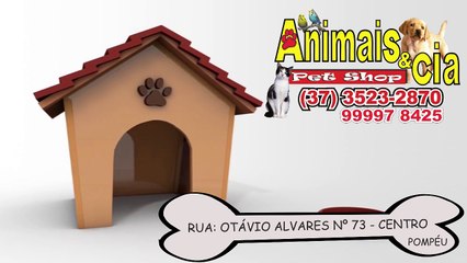 VIDEO PROPAGANDA ANIMAIS & CIA