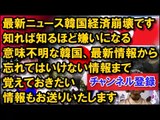 中国人「韓国の学者が「平仮名は韓国が発明した」と発言し日本ネット民が激怒！」中国人の反応【最新ニュース韓国経済崩壊】