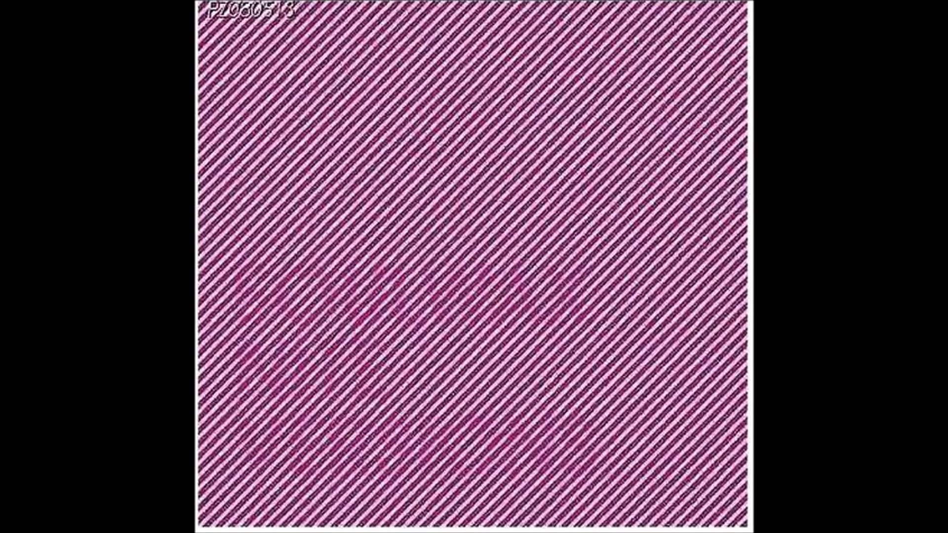 目の錯覚 視力が悪い人 疲れている人にしか絵が見えない画像集 浮かび上がる画像 だまし絵 トリックアート Video Dailymotion