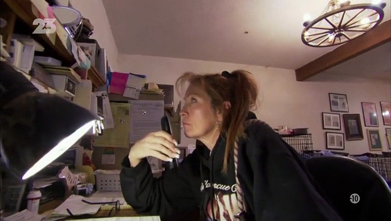 Pitbulls et prisonniers saison 7 E1 - FR