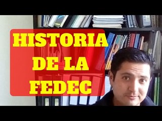 Historia de la FEDEC, Federación europea de escuelas de circo