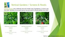 Vertical Gardens in Australia - Designer Plants