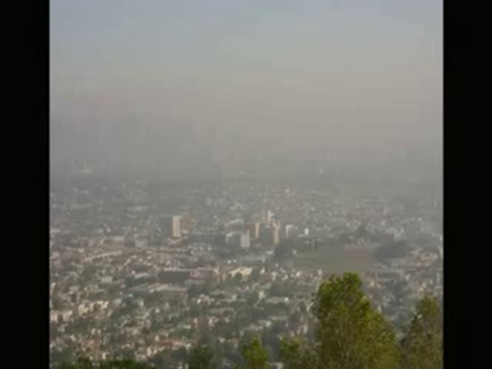 la seule vraie sagesse  La terre n appartient pas à l homme c est l homme qui appartient à la Terre