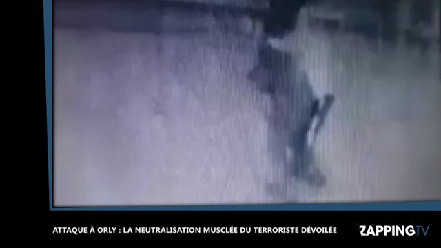 Un homme abattu à Orly : Les images chocs de la neutralisation du terroriste dévoilées (Vidéo)