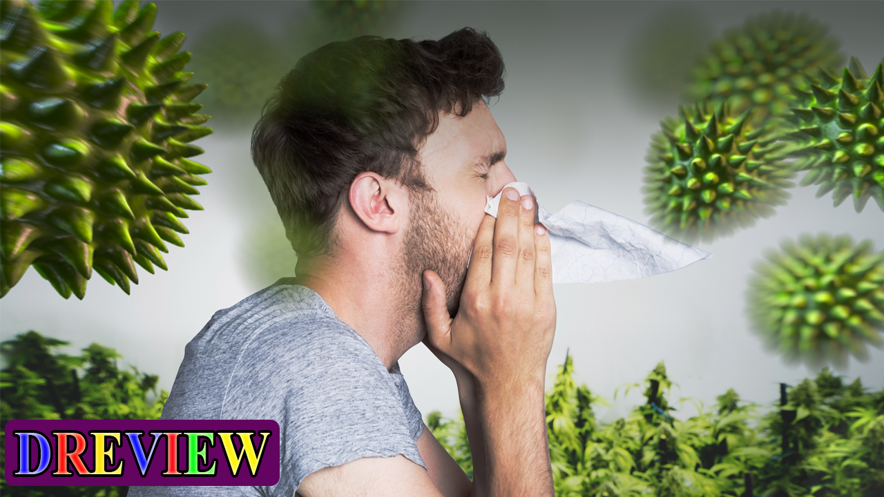 5 Natural Allergy Remedies that Work