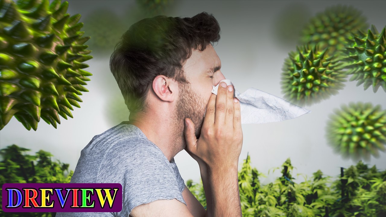 5 Natural Allergy Remedies that Work