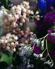 Cheap Caloundra Flowers Online - The Posy Co