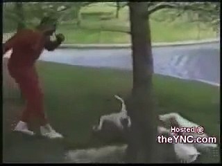FAIL Compilation - Birds Attacking People http://BestDramaTv.Net