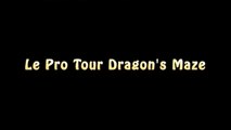 Nothing important - Troll - Pro tour Dragons Maze-NT69jqw3L4czdxfcgasdf