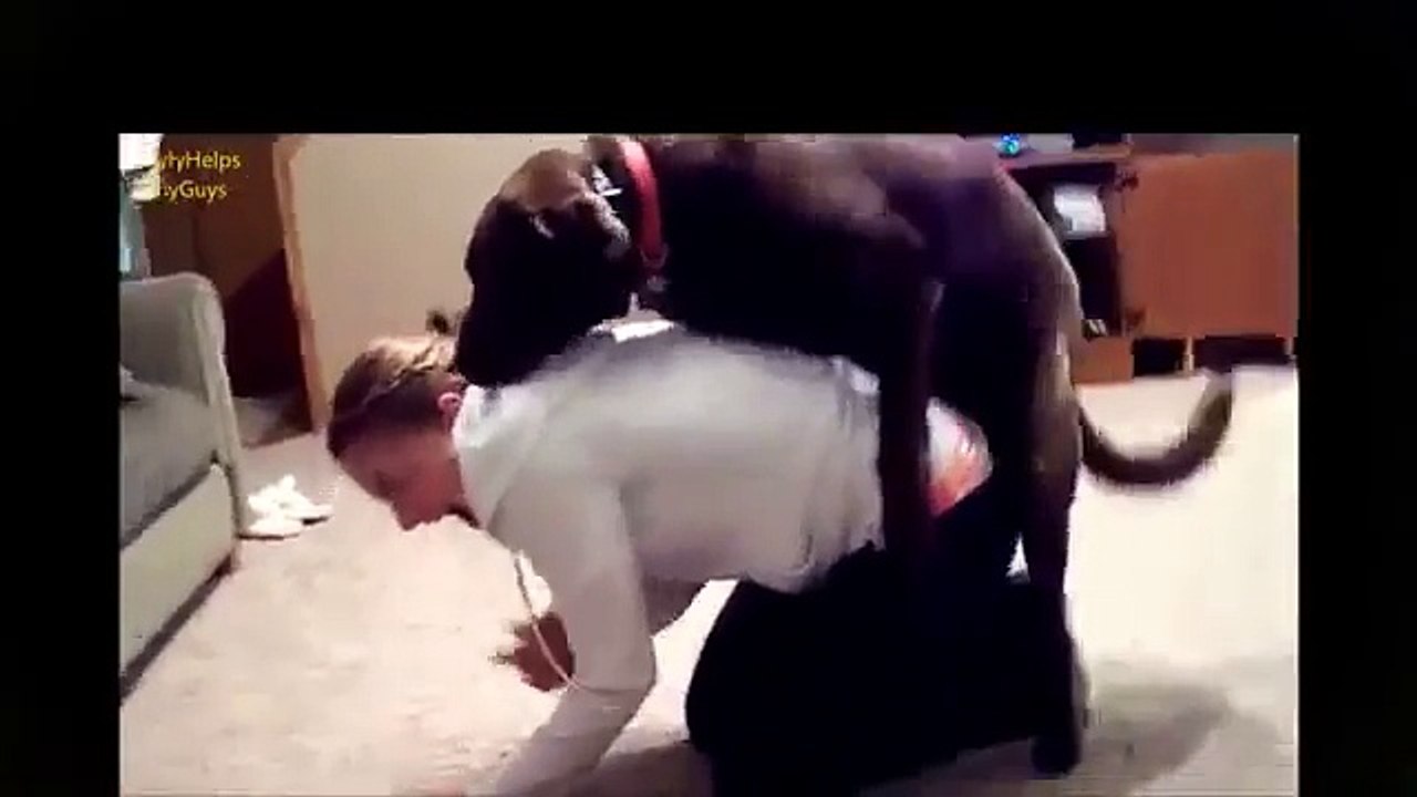 Dog mating with humans