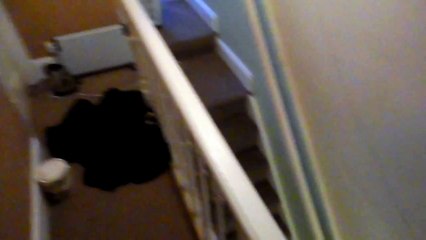 FAIL by dumb human CAT WIN http://BestDramaTv.Net