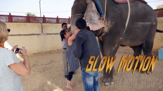 Hot,Sexy Comedy Woman climbing on Elephant.Funny Elephants Animal human Fail.हाथी,Hathi.Woman.कॉमेडी http://BestDramaTv.Net