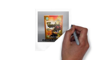 0816574300 Distributor Suplemen Pria Dewasa Pakpak Bharat