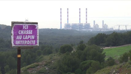 Fos-sur-Mer: les habitants racontent la "poussière noire"