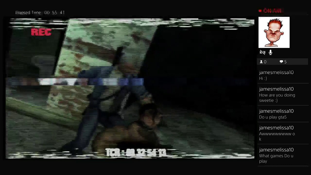 Manhunt gameplay (2)