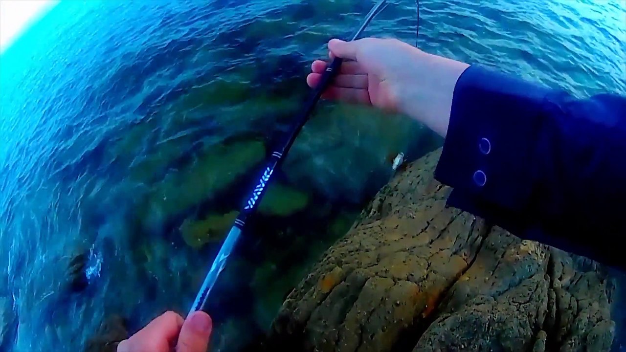 peche en bretagne, bars, lieues, vieilles.