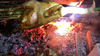 Hunting catfish to District 12- Chicken Barbecue All! Week After Fishing Fishing in Binh Phuoc!