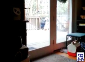 کتے نے مالک کو گھر سے باہر نکال دیا وڈیو دیکھ لیں